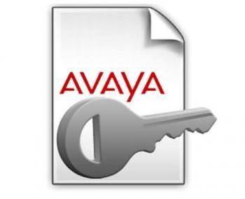 Avaya IP Office R10 Avaya TTS Windows PLDS License (383075)